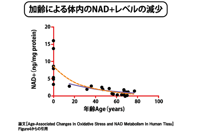 NMN – NICOTINAMIDE MONONUCLEOTIDE BẠN CÓ BIẾT? 6