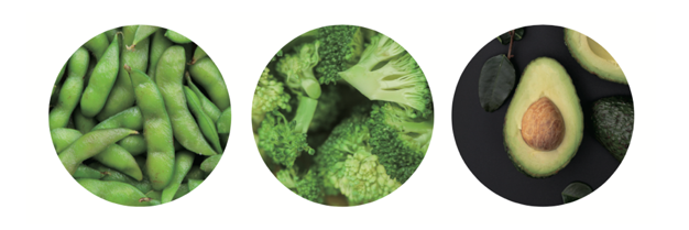 NMN – NICOTINAMIDE MONONUCLEOTIDE BẠN CÓ BIẾT? 5