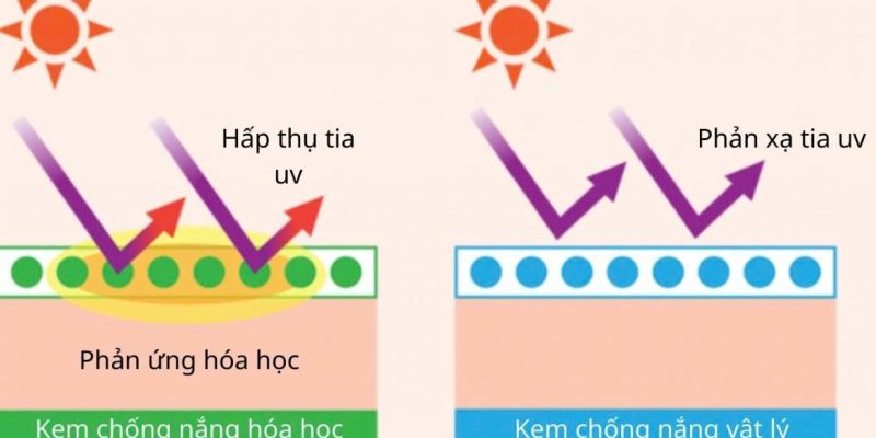 Top 8 hoạt chất chống nắng thông dụng và lưu ý khi lựa chọn 11 Top 8 hoạt chất chống nắng thông dụng và lưu ý khi lựa chọn 2