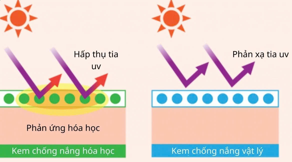 Top 8 hoạt chất chống nắng thông dụng và lưu ý khi lựa chọn 1