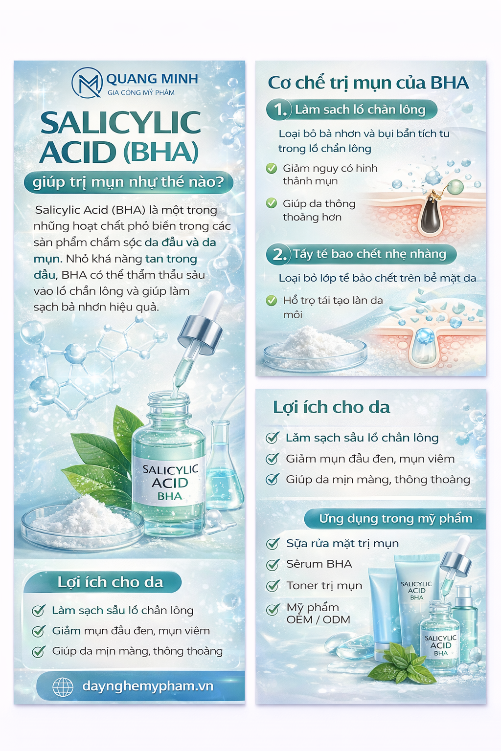 Salicylic Acid (BHA) giúp trị mụn như thế nào? 1