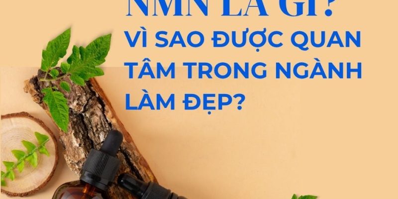 NMN LÀ GÌ? VÌ SAO ĐƯỢC QUAN TÂM TRONG NGÀNH LÀM ĐẸP? 1