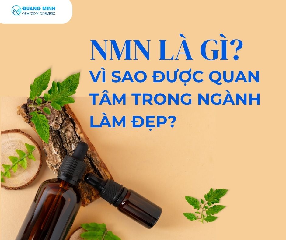 NMN LÀ GÌ? VÌ SAO ĐƯỢC QUAN TÂM TRONG NGÀNH LÀM ĐẸP? 1